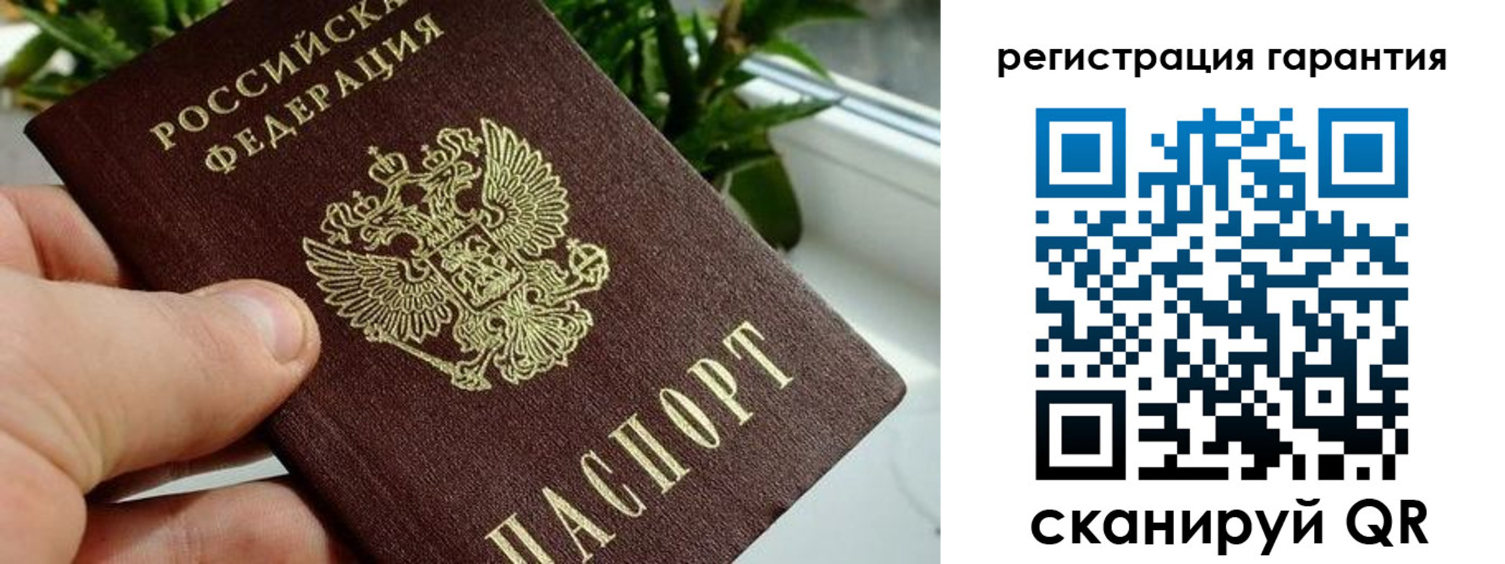 временная регистрация надежно в Невеле
